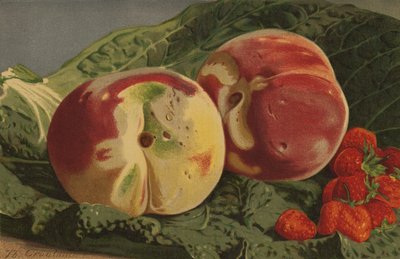 Pêches et fraises - English School